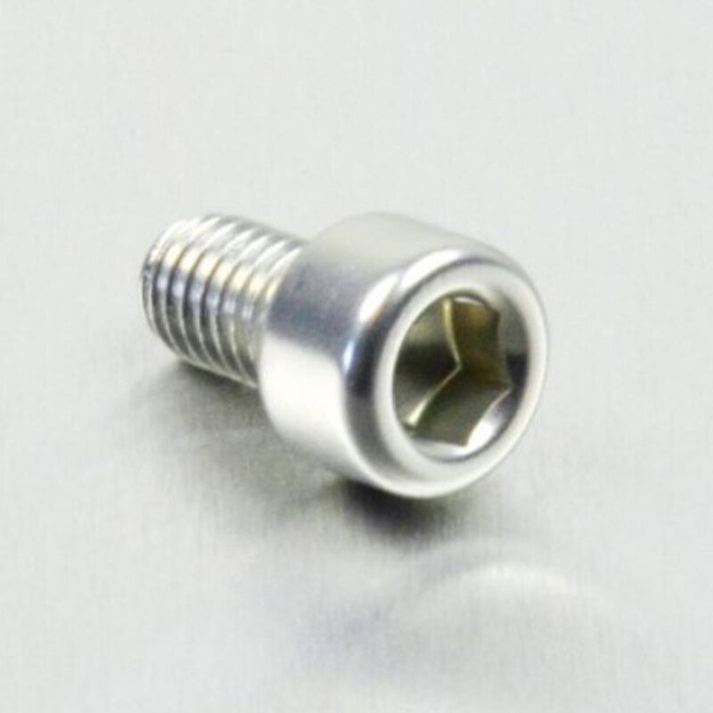 PROBO BOLT M6X1,00X10MM, SIL