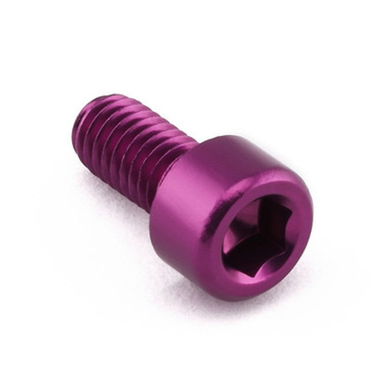 PROBO BOLT M6X1,00X12MM, PPL