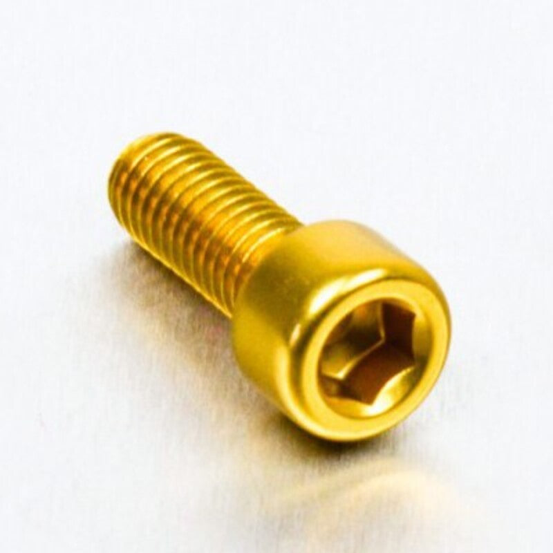 PROBO BOLT M6X1,00X16MM, GLD