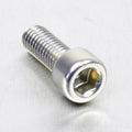 PROBO BOLT M6X1,00X16MM, SIL
