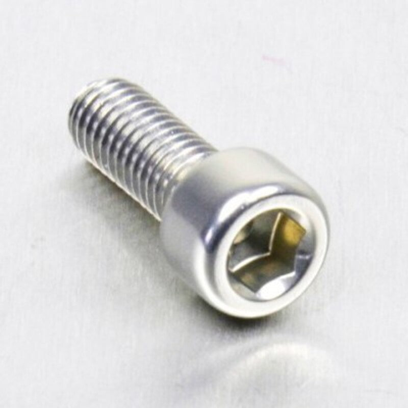 PROBO BOLT M6X1,00X16MM, SIL