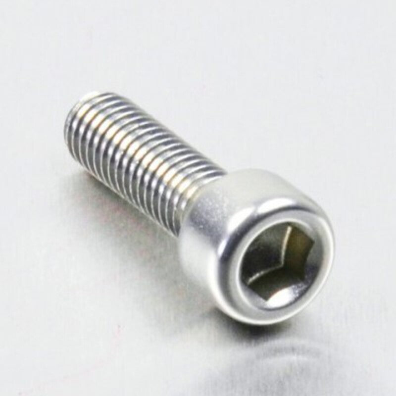 PROBO BOLT M6X1,00X20MM, SIL