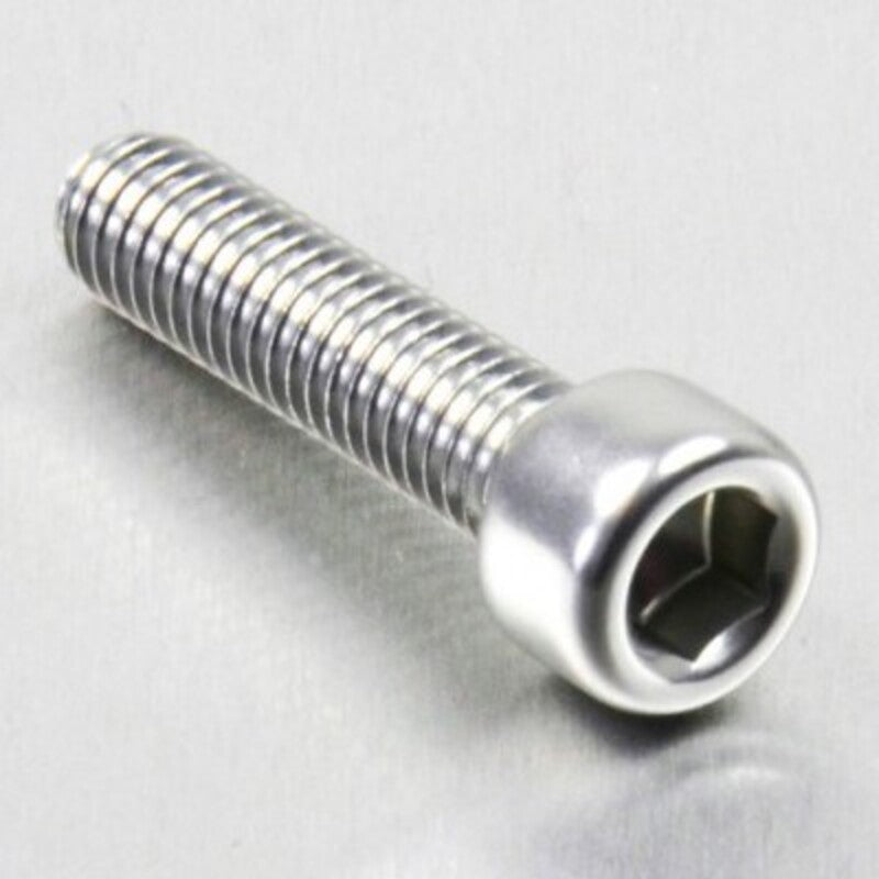PROBO BOLT M6X1,00X25MM, SIL