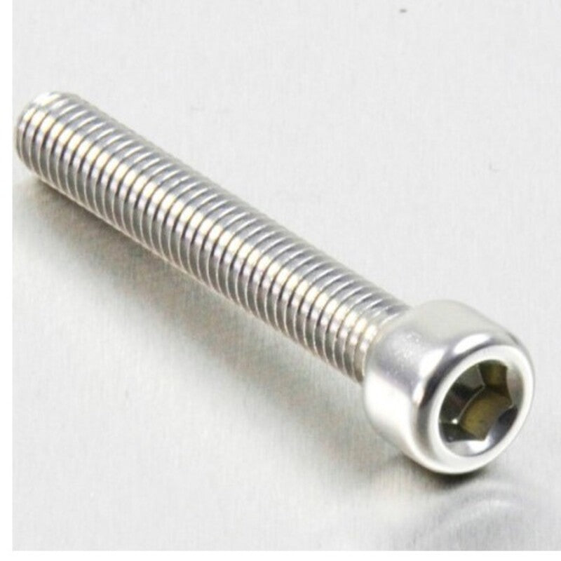 PROBO BOLT M6X1,00X40MM, SIL