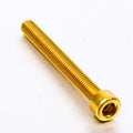 PROBO BOLT M6X1,00X55MM, GLD