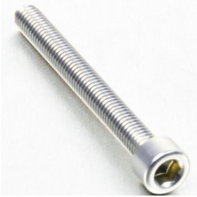PROBO BOLT M6X1,00X55MM, SIL