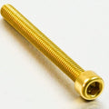 PROBO BOLT M6X1,00X65MM, GLD