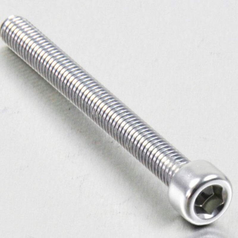 PROBO BOLT M6X1,00X65MM, SIL