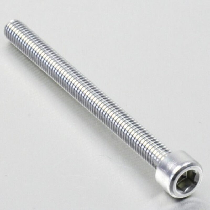 PROBO BOLT M6X1,00X75MM, SIL