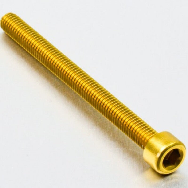 PROBO BOLT M6X1,00X80MM, GLD