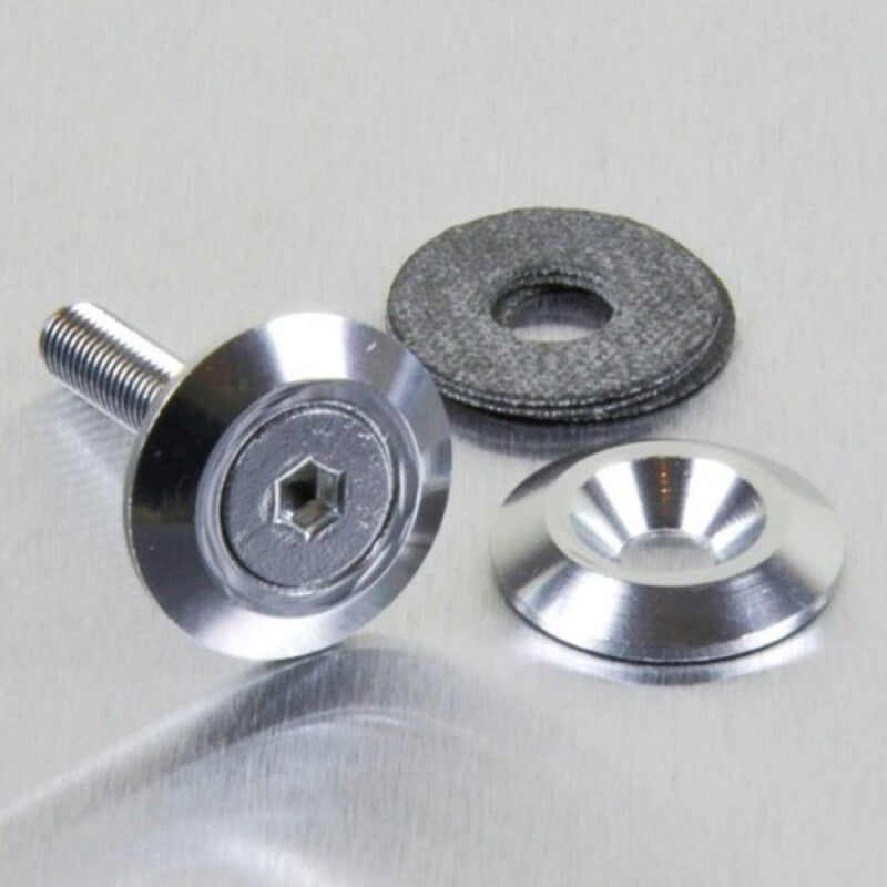 PROBO WASHER ALLOY COUNTERSUNK, SIL