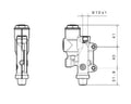 BREMB MASTER CYL REAR - 13 - TITANIUM