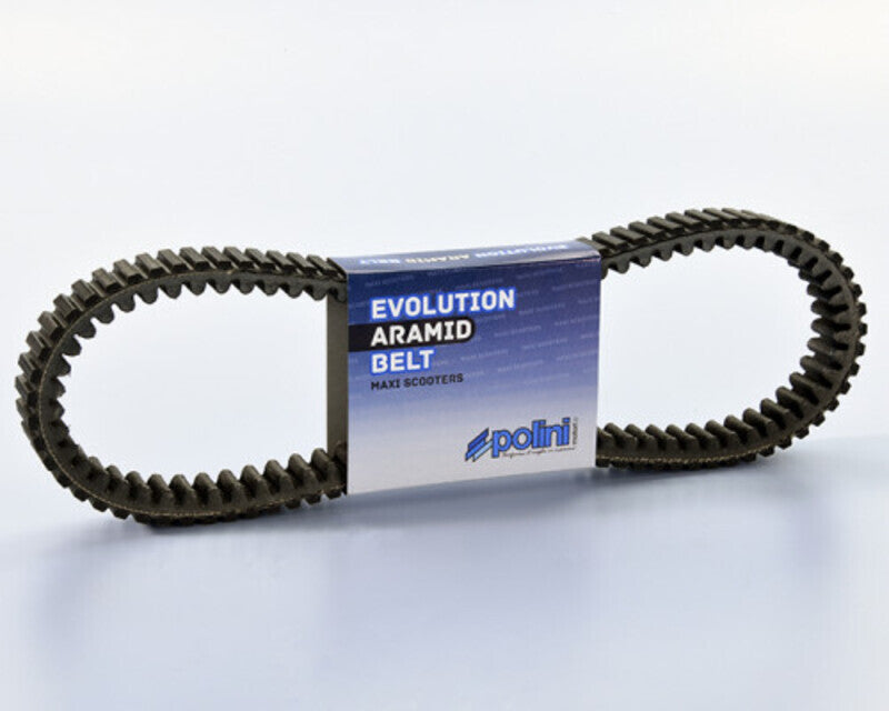 POLIN BELT
