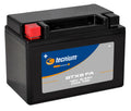 TECNI BATTERY BTX9 FA
