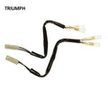 OXFOR INDICATORS INDICATOR LEADS TRIUMPH