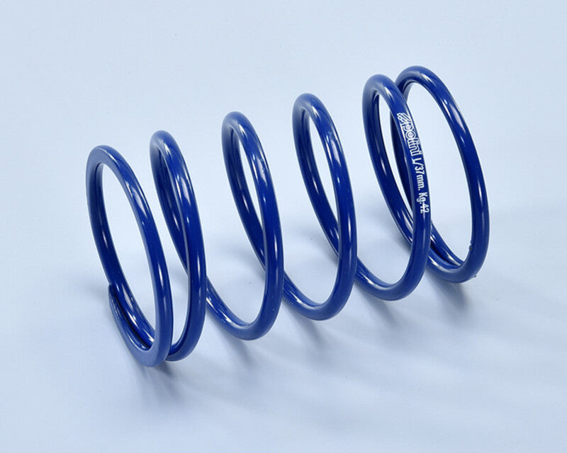 POLIN SPRINGS  COMPRESSION