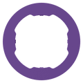 QUADL MAG RING, PPL