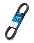 DAYCO DRIVE BELT STANDARD