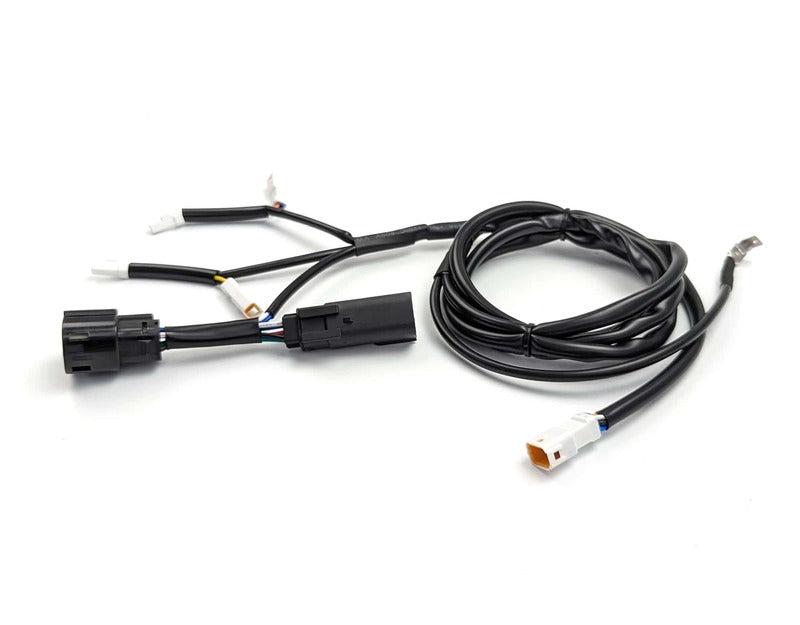 DENAL DIALDIM HARNESS