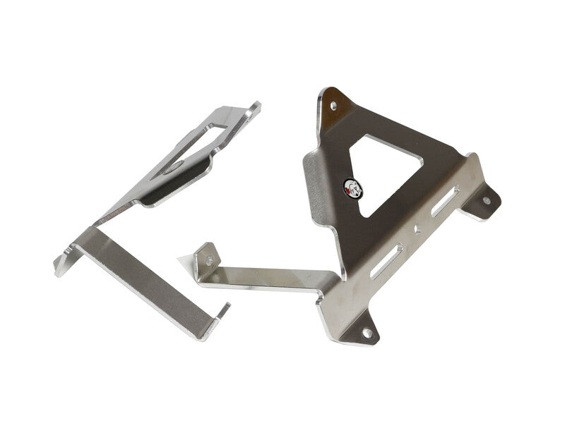AXP RADIATOR GUARDS SIL