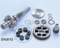 POLIN GEAR SET W/FLEXIBLE COUPLING