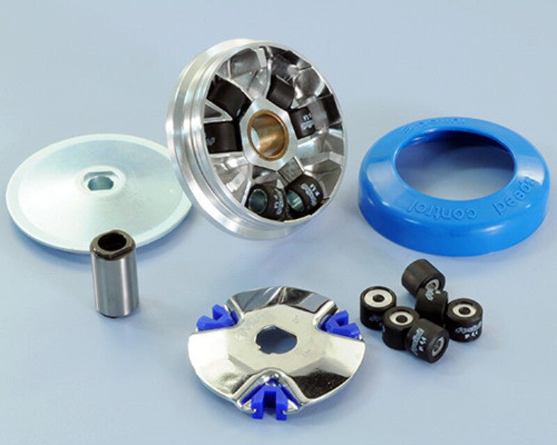 POLIN VARIATOR PIAGGIO CIAO-SI-GRILLO