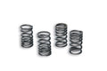 MALOS SET REINFORCED SPRINGS