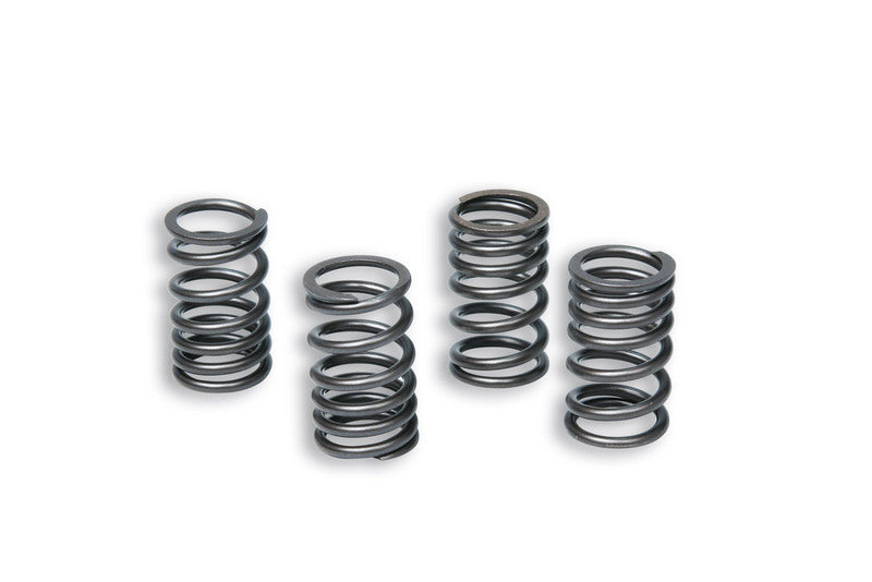 MALOS SET REINFORCED SPRINGS
