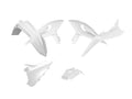 RTECH PLASTIC KIT 7 PCS, WHT/WHT
