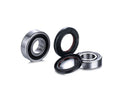 FACTO KIT BEARINGS REAR WHEEL RACE