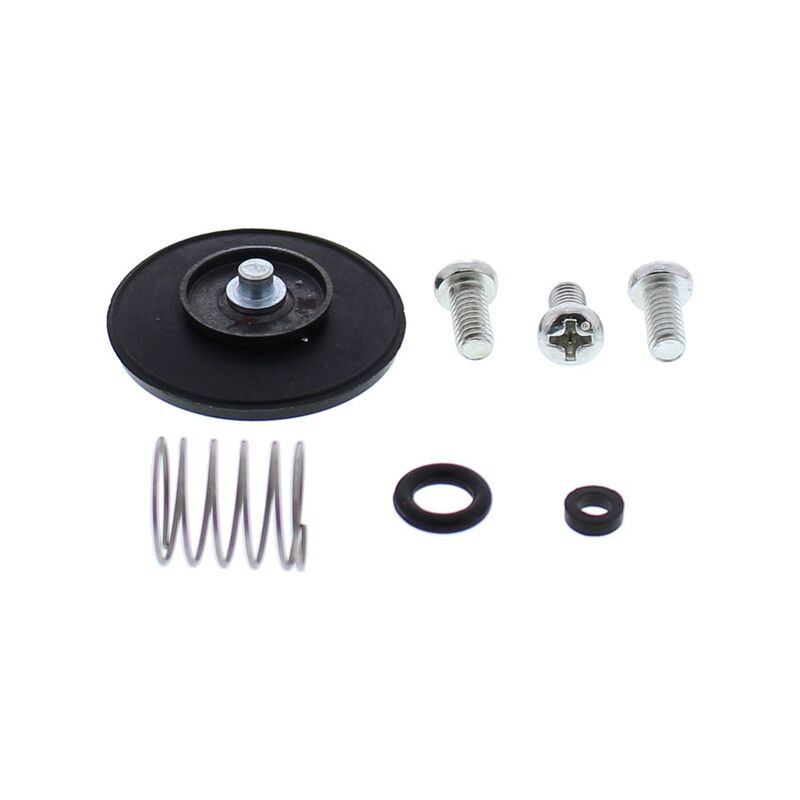 ALLBA ACCELERATOR PUMP REBUILD KIT