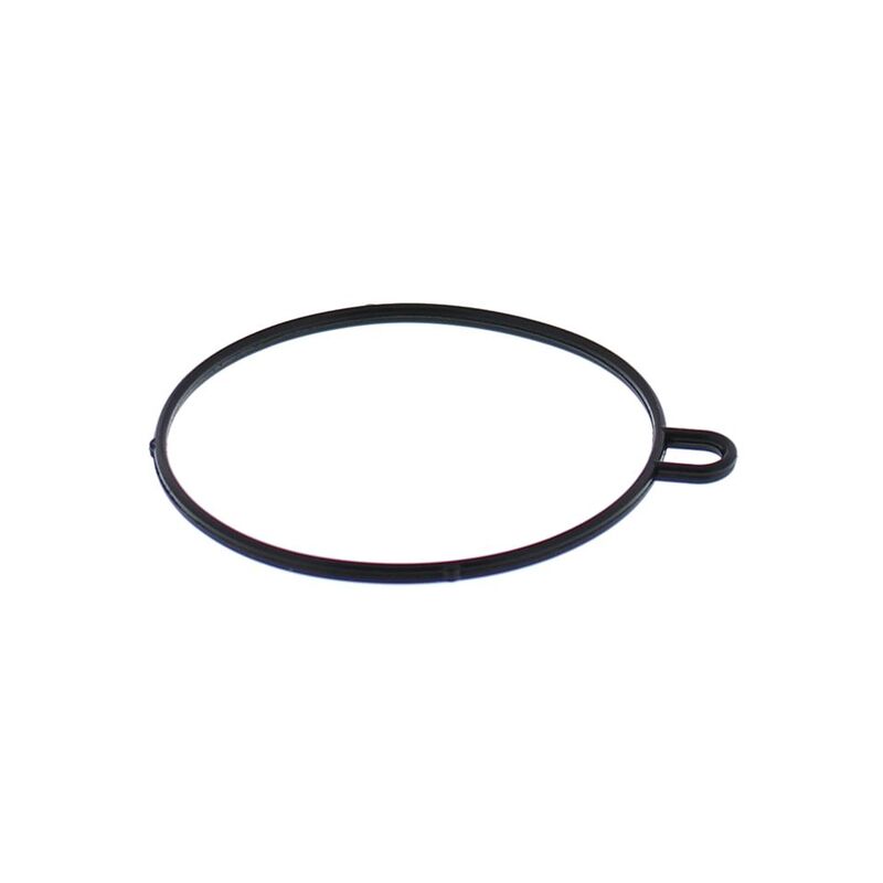 ALLBA FLOAT BOWL GASKET
