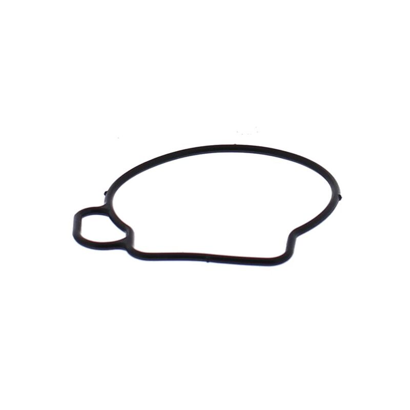 ALLBA FLOAT BOWL GASKET