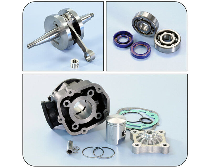 POLIN SPECIAL KIT
