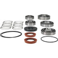 ALLBA DIFF. BEARING+SEAL KIT REAR