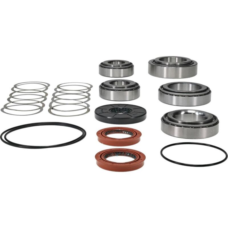 ALLBA DIFF. BEARING+SEAL KIT REAR