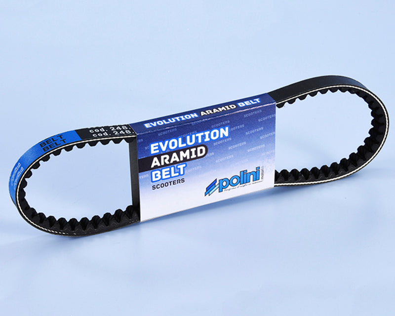 POLIN BELT