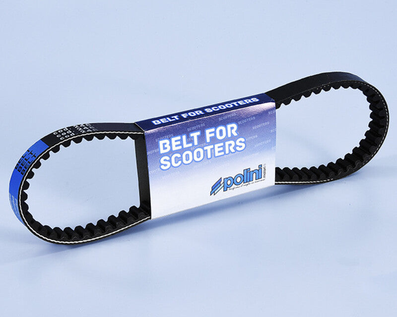 POLIN  BELT
