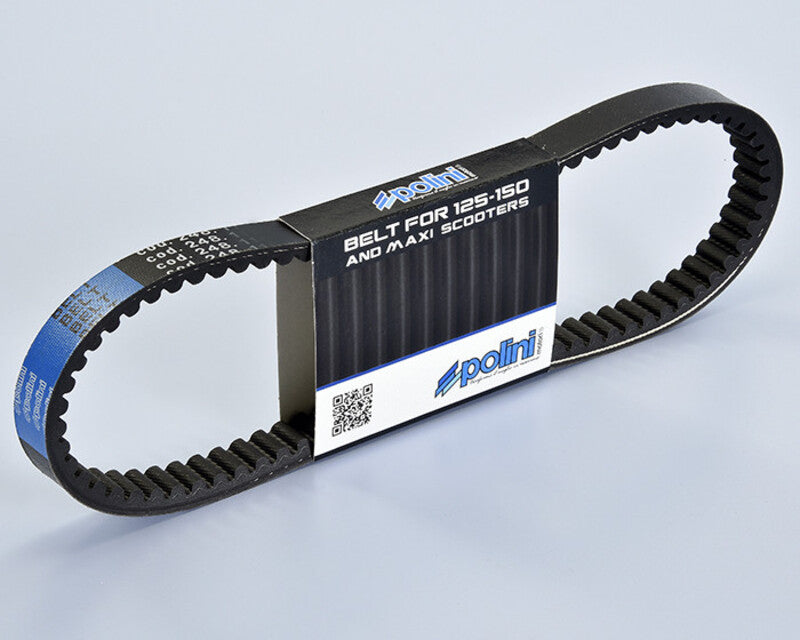 POLIN  BELT