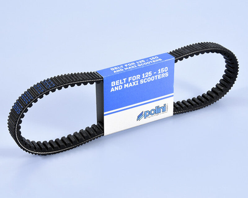 POLIN  BELT