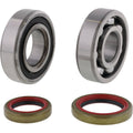 HOTRO MAIN BRG AND SEAL KIT