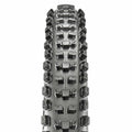 MAXXI TIRE DISSECTOR TR 29X260 EX
