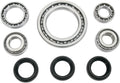 FRT WHL DIFF BRG KIT SUZ