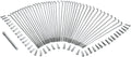 SS SPOKES STL HUB 16 D-C