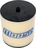 AIR FILTER 250EX/RECON/SPTRX
