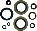 OIL-SEALSKX500 89-04
