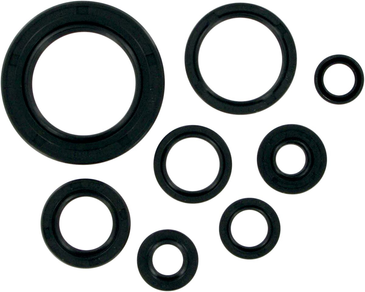 MSE MTR SEALS CR250/500