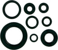 MSE MTR SEALS CR250'92-01