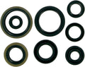 MSE MTR SEALS RM125 98-