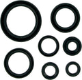 MSE MTR SEALS RM250 96-02